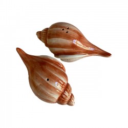Sel & Poivre Coquillage